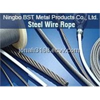 Hith Quality Hot Dipped  Galvanized Steel Wire Rope