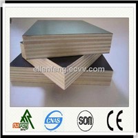 construction use waterproof shuttering film faced plywood
