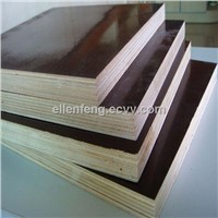 construction use wood timber formwork plywood