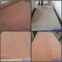 white birch Commercial Plywood Flexible Plywood/Bending Plywood
