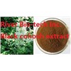 Natural plant extract of Black Cohosh extract