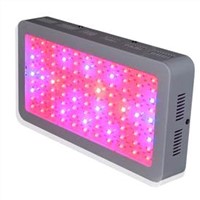 300W led grow light for Led horticulture lighting best for Medicinal plants growth and flowering
