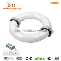 40w 60w 80w 100w 120w 150w 200w 250w 300w discharge induction lamp  80~90Lm/w with ballast