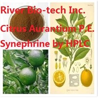 Natural Citrus Aurantium extract with 30% Synephrine by HPLC