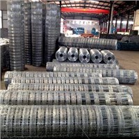 Factory Direct Sale Galvanized Field Fence