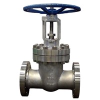 titanium gate valve