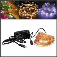 DC12V 10m 100 Led String fairy Lights Copper Wire + 12v 1A/2A Power Supply adapter EU/AU/US/UK plug kit