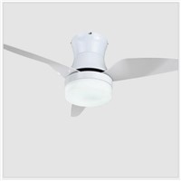 Modern Dining Room 220V LED  Ceiling Fan Lamp restaurant Kitchen Creative ceiling fan with lights Home Lighting Fixtures Lamp