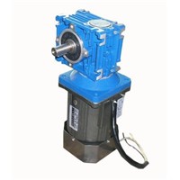 AC 220V  40W with RV30 worm gearbox ,High-torque regulated speed worm Gear motor,Drive motor,Rolling Shutters motor