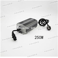 MH/HPS 250W dimmable electronic ballast for greenhouse plant growing EU plug