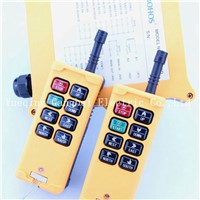 HS-8D6 Double speed (include 2 transmitter and 1 receiver)  crane remote control