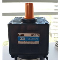 No though-hole style single-phase Micro ac gear motor reduction induction gear motor 6W 15W 25W 60W 120W 200W 14 pcs in parcel