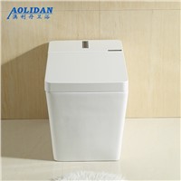 Siphon Flush Toilet Led Bathroom A New Generation Of For Intelligent Multifunctional Toilet Is Hot Frequency Drying Machine