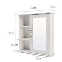 The bathroom mirror cabinet. Camera. Toilet supporter. Stainless steel mirror cabinet