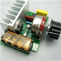 4000W AC 110V Micro Voltage Regulator Speed Controller Temperature Dimmer Double Capacitor