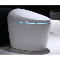 luxury S-trap intelligent WC Elongated Remote Controlled Smart Bidet Toilet 220V   TM2280