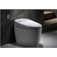 luxury S-trap intelligent WC Elongated Remote Controlled Smart Bidet Toilet 220V   TM2400