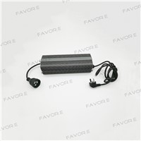 AU plug MH/HPS 250W dimmable electronic ballast for greenhouse plant growing