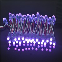 Outdoor LED Lighting Modules 50pcs RGB led laces cordas de luzes decorativas DC5V WS2801 light module waterproof rgb led pixel