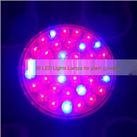 Indoor 1.9W 38 LED Plant Growing Lamp RED and Blue LED Flowering Hydroponic Hydro Light Grow Lamp Bulb