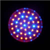 1W 38 LED Plant Growing Lamp RED and Blue Indoor LED Flowering Hydroponic Hydro Light Grow Lamp