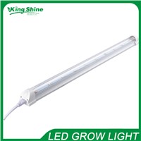 30pcs Indoor Plant tissue culture lights 20x1W Full Spectrum(400-840nm) led grow tube light 1.2M length for seedling/growth