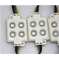LED Injection 5050 4 LED Module 12V White Warm White Waterproof IP65 High Bright For Led Channel Letter Advertising Sign 100 pcs