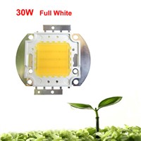 Lot 1 2 5 10 20pcs 30W Watt White Full Spectrum 380~780nm 45mil 2700LM 30V-36V 900mA SMD LED Part Diodes For Plant Grow Light