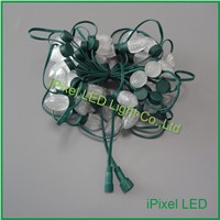 High brightness LED Christmas Fireworks Light with 2 lamps
