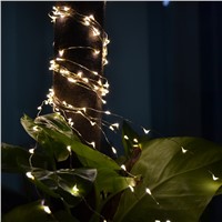 The Button Battery 2Meters 20 Lights Holiday Party Decoration Festival Copper Wire String Fairy Light Lamp VER61 P18 0.35