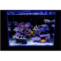 RGB led Fish tank box flashlight Water grass lamp land diving remote control With memory color Discoloration Aquarium lights RGB
