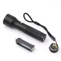 New Arrival 3 Modes LED Rechargeable Flashlight Power By 1*18650 Or 3*AAA Battery Super Bright Torch Light+AC/Car Charger