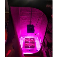 Dominator 400W COB LED Grow Light Full Spectrum for Vegetable Hydroponics All Stages Indoor Greenhouse Plant lighting and bloom
