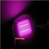 100W High Power LED Chip Plant Growing Hydroponic Red Blue 4:1 450nm 660nm DIY