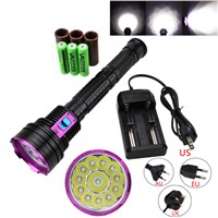 Dive 30000LM 12*XML  T6 LED Waterproof 100m Diving Scuba Flashlight Torch PCB with 18650 Battery +Charger