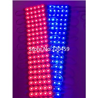 Newest  12V waterproof 5730 5LEDs  LED Module super bright Single Color Led Modules For Channel Letters