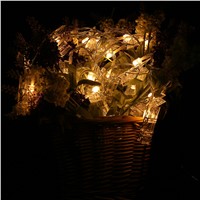 LED Strip Light 2.2M 20 LED Battery LED String Lights Pinecone/Clip Shape Christmas Party Festival Decoration Fairy String Lamp