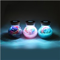 ITimo LED Romantic Bulb Night Light RGB Dimmer Lamp For Mom Lady Girls Creative With Remote Control Rose Flower Bottle Light
