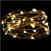 2M 20LED Button Cell Powered Silver Copper Wire Mini Fairy String Lights white