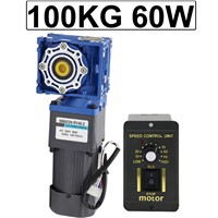 Micro Electric High Torque AC Worm Geared Motor 220V 60W 0.1 To 93RPM Low Speed Low Noise AC Motor Adjustable Speed &amp;amp; Reversed