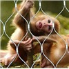Zoo Aviary Mesh Made of Stainless Steel Wire Mesh