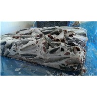 Frozen Mackerel HGT, M