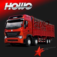 howo 8x4 cargo