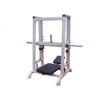 Vertical Leg Press for gym club use