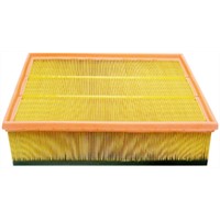 2d0129620A Auto Air Filter for VAG