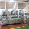 beer bottle washing filling capping 3-in-1 machine