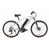 Hight Quality Lithium Battery Mountain electric bike with good quality