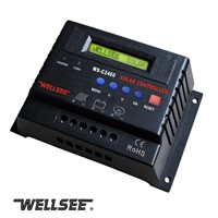 WELLSEE WS-C2460 40A 12/24V PV System Controllers