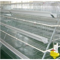a Type 4 Tiers 160 Chicken Battery Cages Chicken Farm Breeding Used