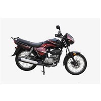 hero style 100CC street bike  CD110-YX